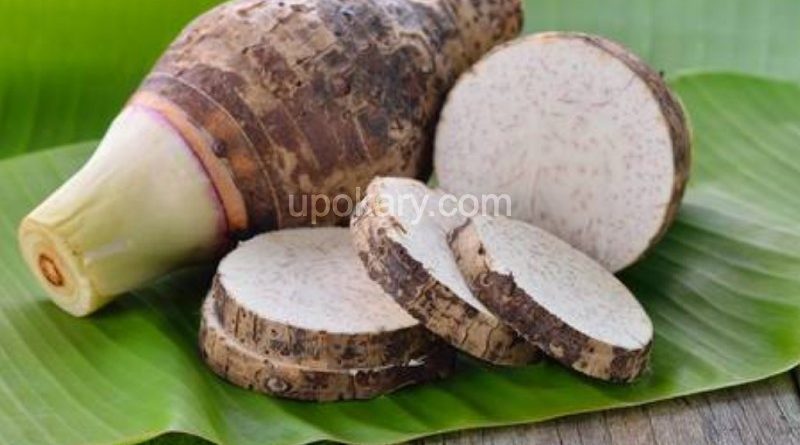 taro