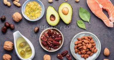Brain Foods