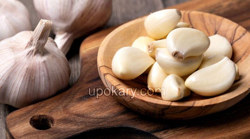 garlic