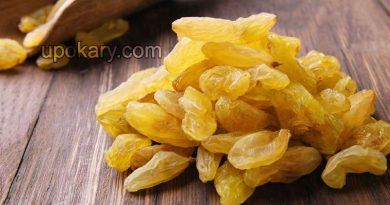 golden raisin