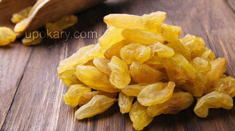 golden raisin