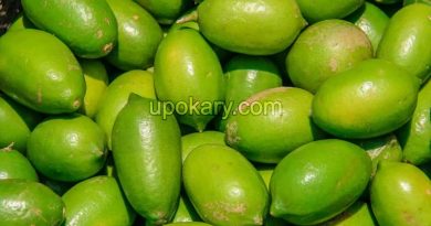 lemon green
