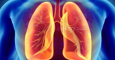 lung