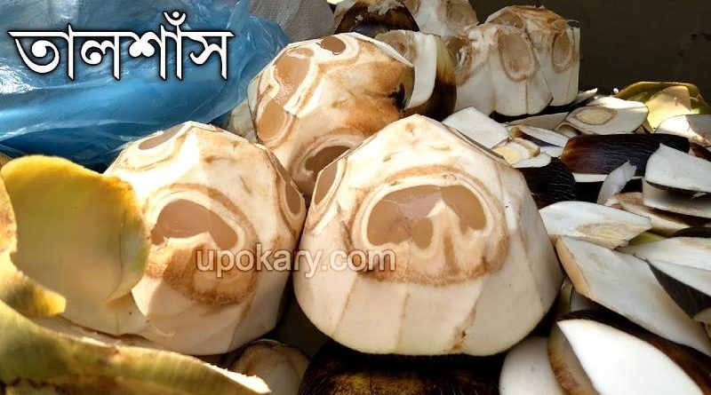 plam fruit