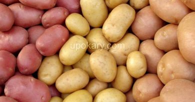 potato