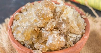 healthy plamcandy