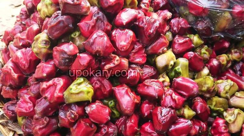 water chestnut