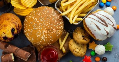 Junk Food