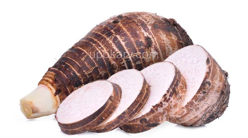 TARO-ROOT