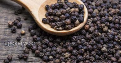 black pepper