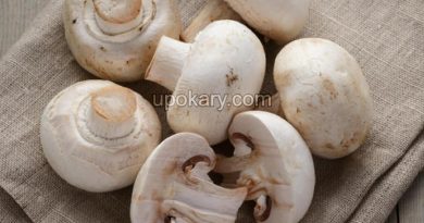 mushrooms