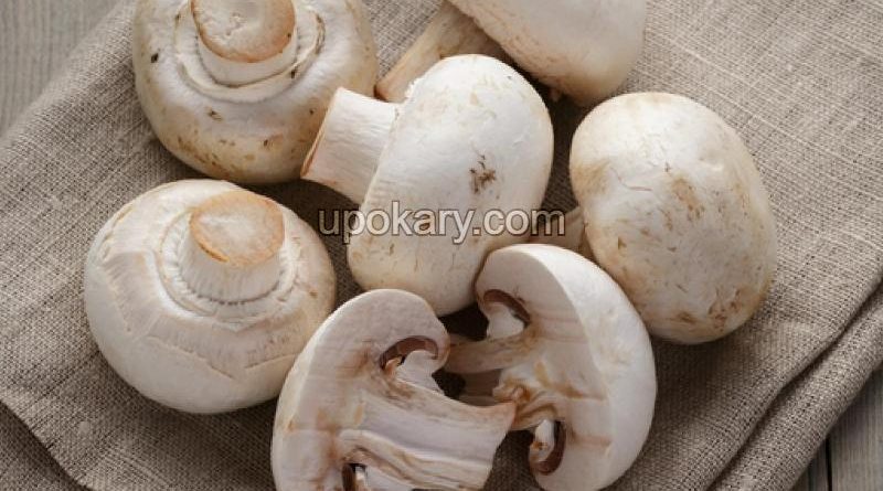 mushrooms