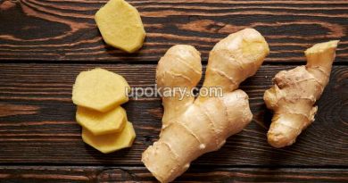 Ginger12