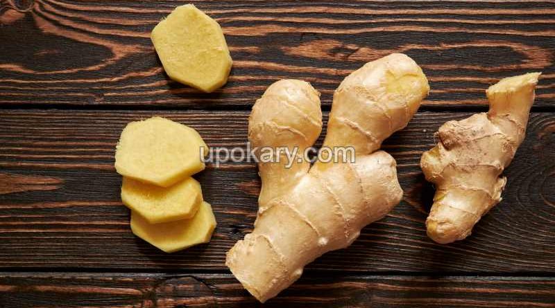 Ginger12