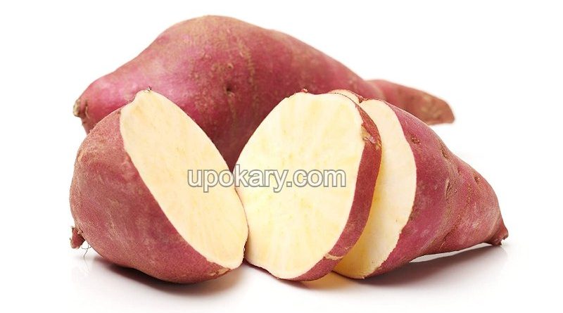 Sweet-potatoes