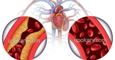 cholesterol