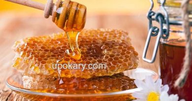 honey