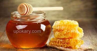 honey1