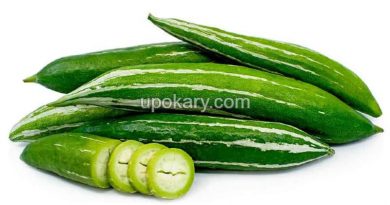 snakegourd