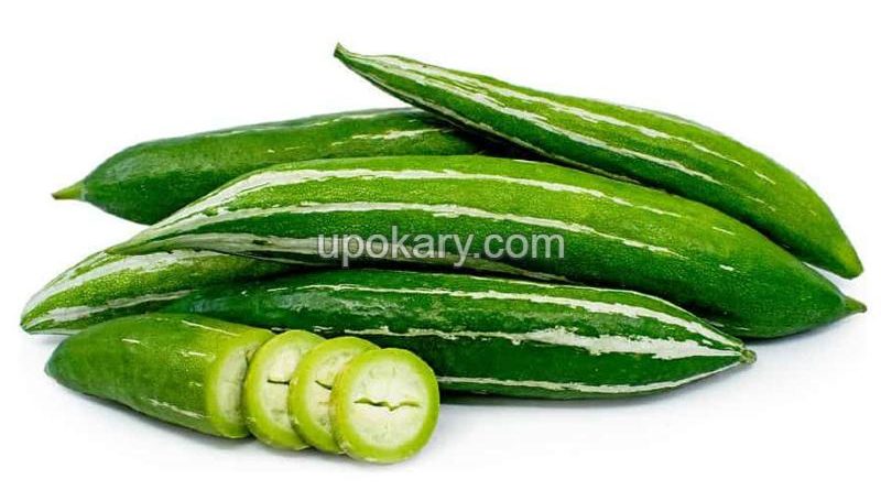 snakegourd