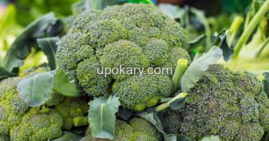 Broccoli