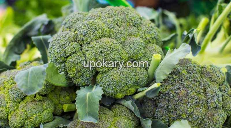 Broccoli