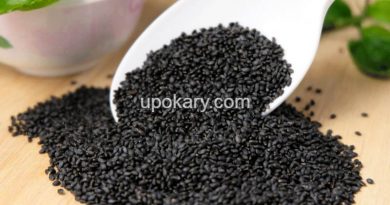 basil-seeds