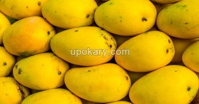 ripe-mango