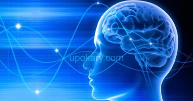 brain power