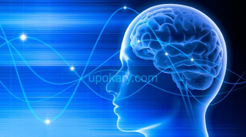 brain power