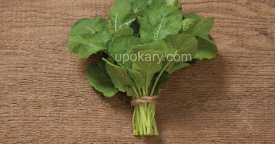 masterd greens