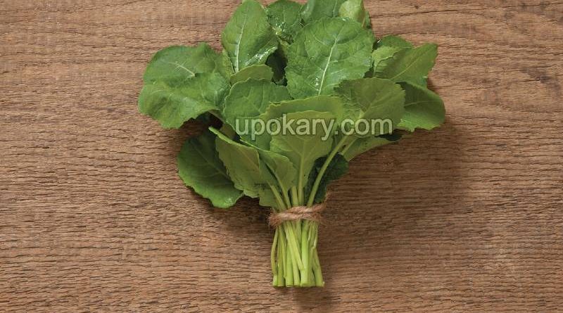 masterd greens