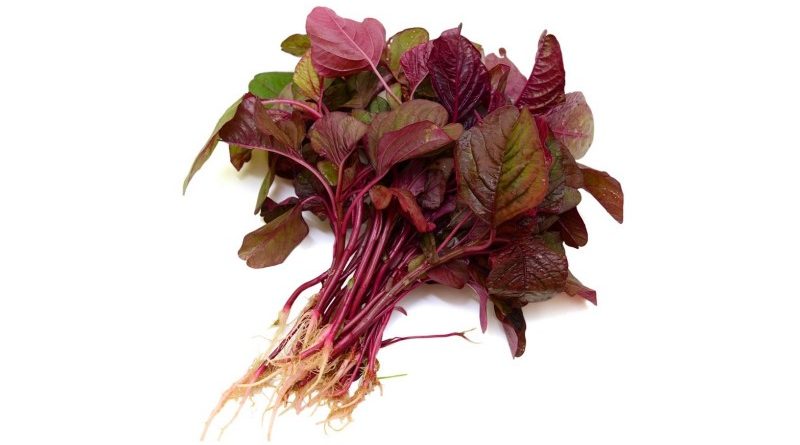 red spinach