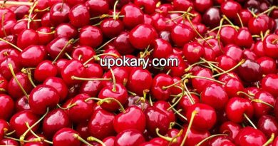 Cherries