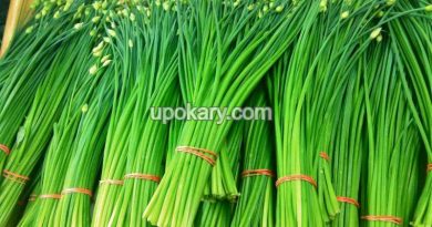 spring onoin