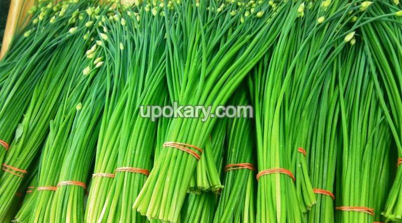 spring onoin