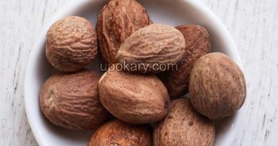 Nutmeg