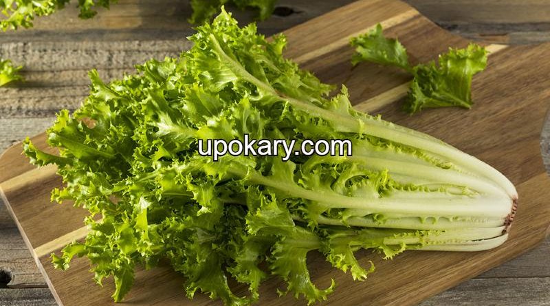 lettuce