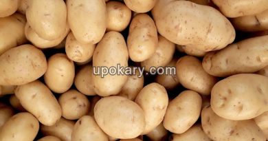 potatos