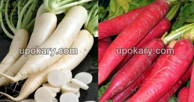 radish