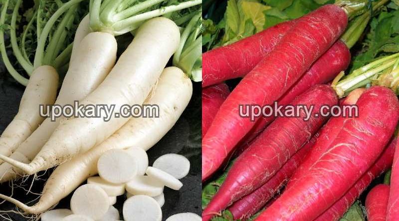 radish