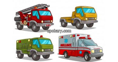 Emergency service