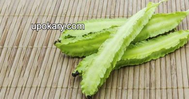 Winged Beans