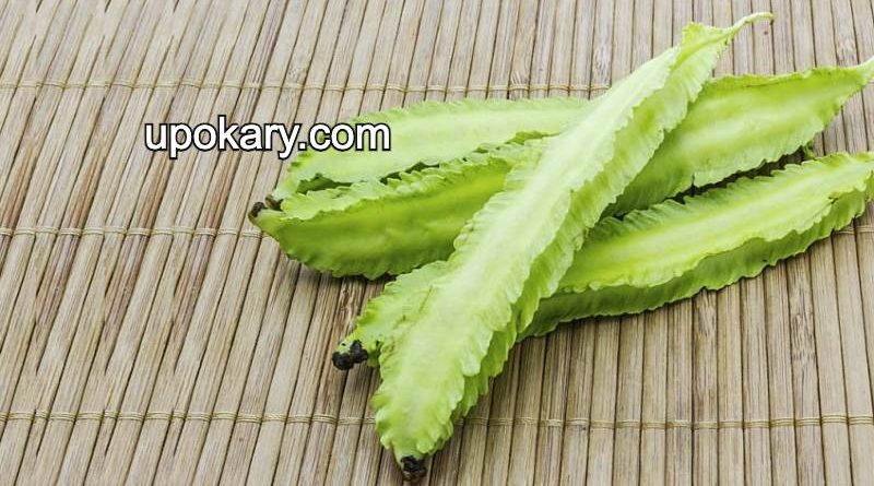 Winged Beans