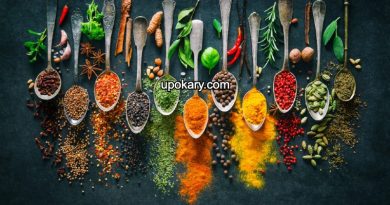 ayurvedic herbs