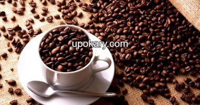 coffee beans