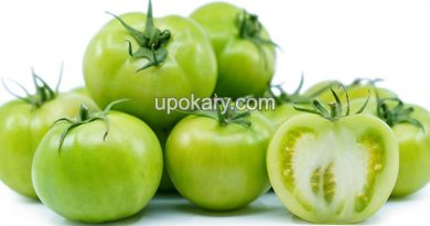 healthy green tomato
