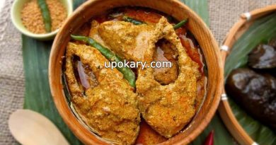 ilish