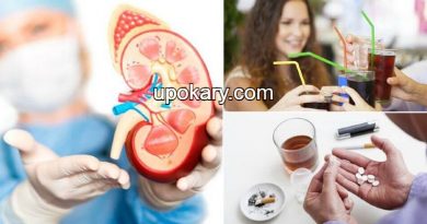 kidneys featured