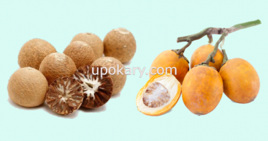 betel nut